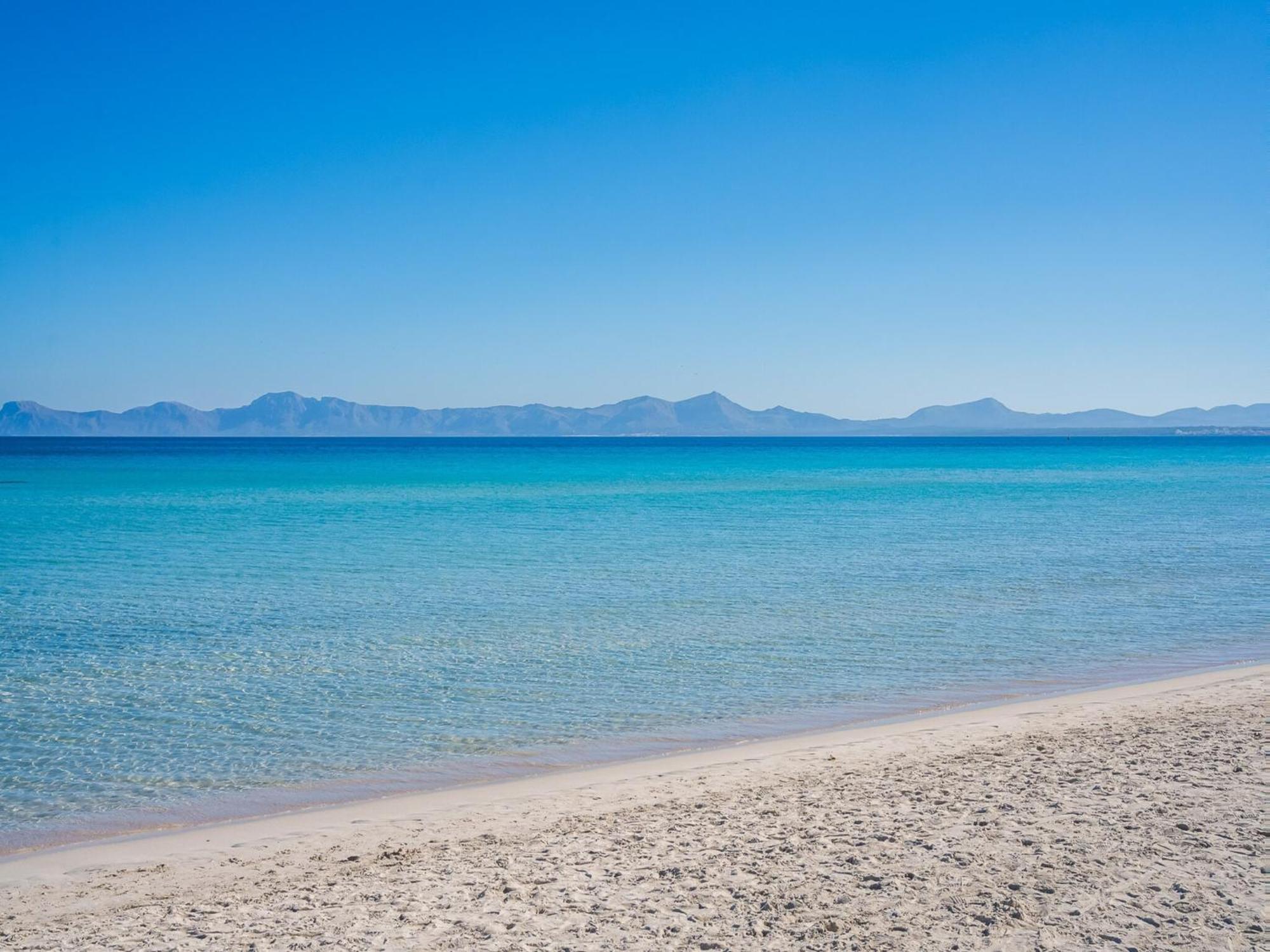 Beautiful Apartment, 50m From